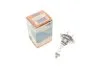 Лампа накаливания H7 12V 55W PX26d XENON LIGHT (+50%) (выр-во Magneti Marelli) MAGNETI MARELLI 002586100000 (фото 1)
