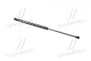 Амортизатор багажника VOLKSWAGEN Bora (вир-во Magneti Marelli кор.код. GS0131) MAGNETI MARELLI 430719013100 (фото 3)