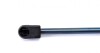 Амортизатор кришки багажника MAGNETI MARELLI 430719029800 (фото 2)