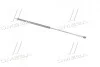 Амортизатор багажника AUDI 100 (вир-во Magneti Marelli кор.код. GS0380) MAGNETI MARELLI 430719038000 (фото 3)