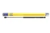 Амортизатор багажника FORD Focus хэтчбек II (выр-во Magneti Marelli кор.код. GS0408) MAGNETI MARELLI 430719040800 (фото 2)