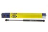 Амортизатор багажника/капота (кор.код. GS0633) MAGNETI MARELLI 430719063300 (фото 5)
