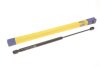Амортизатор багажника/капота (кор.код. GS0841) MAGNETI MARELLI 430719084100 (фото 1)