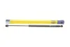 Амортизатор багажника RENAULT Scenис (выр-во Magneti Marelli кор.код. GS0891) MAGNETI MARELLI 430719089100 (фото 1)