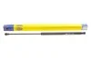 Амортизатор багажника NISSAN QASHQAI (J10E) (вір-во Magneti Marelli кор.код. GS0956) MAGNETI MARELLI 430719095600 (фото 1)