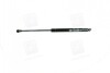 Амортизатор багажника MAGNETI MARELLI 430719097300 (фото 1)
