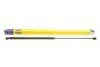 Амортизатор багажнику MAGNETI MARELLI 430719159400 (фото 1)