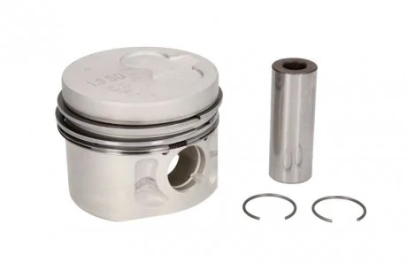 Поршень с кольцами. MAHLE / KNECHT 0298212