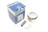 Поршень з кільцями. MAHLE / KNECHT 0347802