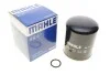 Фильтр осушителя воздуха Mahle Volvo MAHLE / KNECHT AL12 (фото 1)