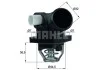 Термостат (вир-во Mahle) MAHLE / KNECHT TM 32 103 (фото 1)