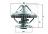 Термостат Behr MAN MAHLE / KNECHT ="TX15883" (фото 1)