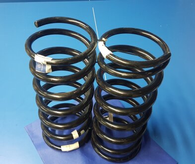 Пружина MERCEDES-BENZ 4603241104