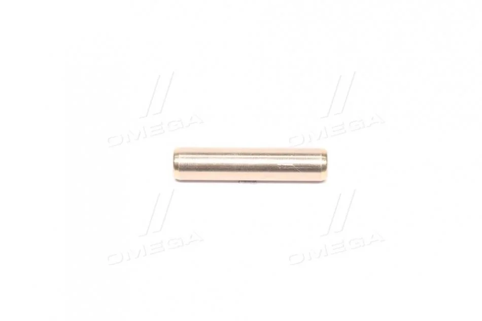 Направляюча клапана IN BMW/PSA/MINI EP3/EP3C/EP6DTS/EP6CDTX/EP6CDT 41X5.01X9.05 (вир-во) Metelli 01-2989 (фото 1)