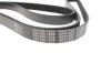 Поликлиновый ремень MEYLE 0500061800 (фото 3)