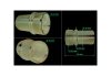 Корпус опорної втулки ГПК VW PASSAT B5 96-05; AUDI A6 04-11, A6 97-04, A8 94-02; SKODA Superb 01-08 MSG 7852035267 (фото 1)