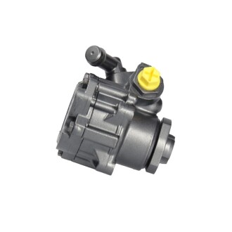 Насос ГПК восстановлен VW Golf IV 97-03, Audi A3 96-03, Skoda Octavia Tour 96-10 MSG AU002R