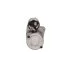 Стартер новый FIAT Doblo 00-09, Fiorino 88-00, Scudo 95-07, Bravo 95-01, Palio 96-20, Punto 93-99, Siena 97-16, Tipo 88-95, Tempra 90-97; LANCIA Delta 93-99 MSG CMS536 (фото 4)