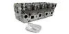 Головка блока голая 2.2TDCI 16V, 2.5DCI 16V Nissan X-Trail T30 00-09, Nissan Navara 05-15, Nissan Pathfinder R51 04-14 MsGear GBH47001 (фото 1)