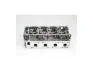 Головка блока голая 2.5DCI 16V Nissan Navara 05-15, Nissan Murano 08-16, Nissan Pathfinder R51 04-14 MsGear GBH47002 (фото 1)