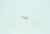 Лампа накаливания W1,2w 12v 1,2w W2x4,6d (выр-во Narva) NARVA 17037CP (фото 1)