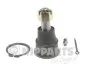 Кулькова опора з обох сторін передній міст знизу NIPPARTS J4861020 (фото 1)