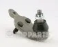 Шаровая опора справа передний мост снизу NIPPARTS N4872041 (фото 1)