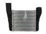 Интеркулер AUDI A 4/S4 (B6, B7) (00-) (выр-во Nissens) NISSENS 96707 (фото 1)