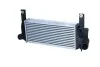 Интеркулер NISSAN Navara 2.5D 05- (выр-во) NRF 30527 (фото 1)