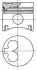 Поршень (вир-во) NURAL 87-109800-10 (фото 1)