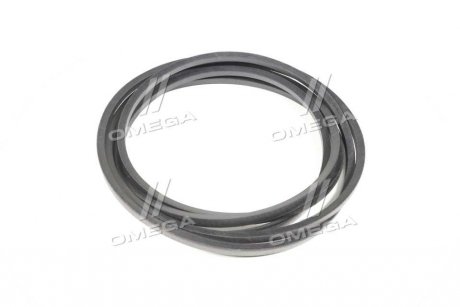 Ремінь клиновий CLAAS (628579.0) OPTIBELT 1000862