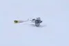 Лампа фарна H3 12v 55w Pk22s blister (вир-во) OSRAM 64151-01B (фото 1)