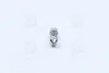 Лампа софітна допоможе. освітлення C10W 12V 10W SV8.5-8 (вир-во) OSRAM 6438 (фото 2)