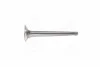 Клапан впускной D4CB (выр-во PMC-ESSENCE) PARTS-MALL HCZA-020 (фото 1)