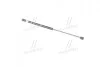 Амортизатор багажника HYUNDAI (вир-во) PARTS-MALL PQA-202 (фото 3)