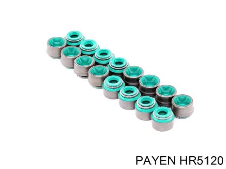 Сальники клапанов, комплект Payen HR5120