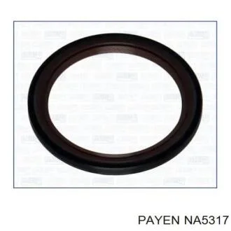 Сальник гумометалевий Payen NA5317