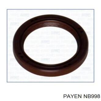Сальник гумометалевий Payen NB998