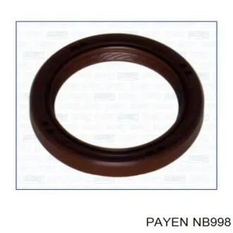 Сальник гумометалевий Payen NB998