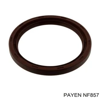 Сальник вала колінчастого задній Payen NF857