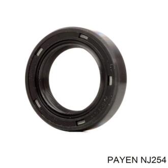 Сальник распредвала Payen NJ254