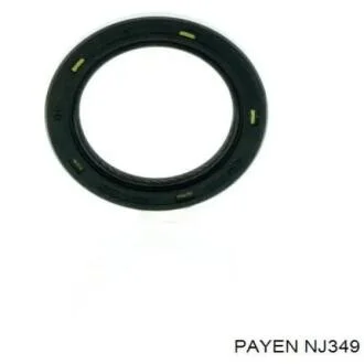 Сальник коленвала Payen NJ349