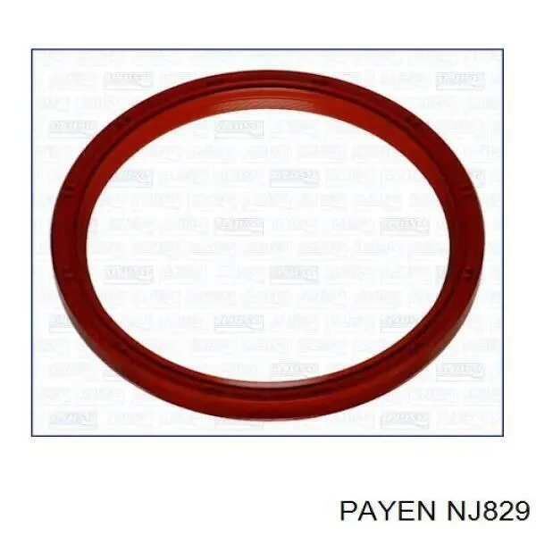 Сальник коленчатого вала Payen NJ829 (фото 1)