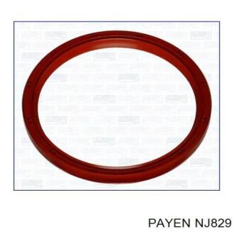 Сальник гумометалевий Payen NJ829