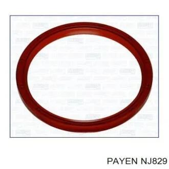 Сальник коленчатого вала Payen NJ829