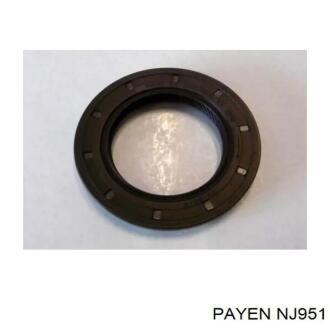 Сальник гумометалевий Payen NJ951