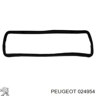 Прокладка клапанної кришки Peugeot/Citroen 024954