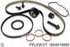 Комплект ремня ГРМ Peugeot/Citroen 1654515680 (фото 1)
