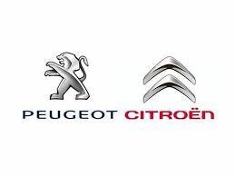 Пружина рульового валу Peugeot/Citroen 406344