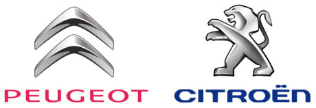 Ключ USB Peugeot/Citroen 9691874780